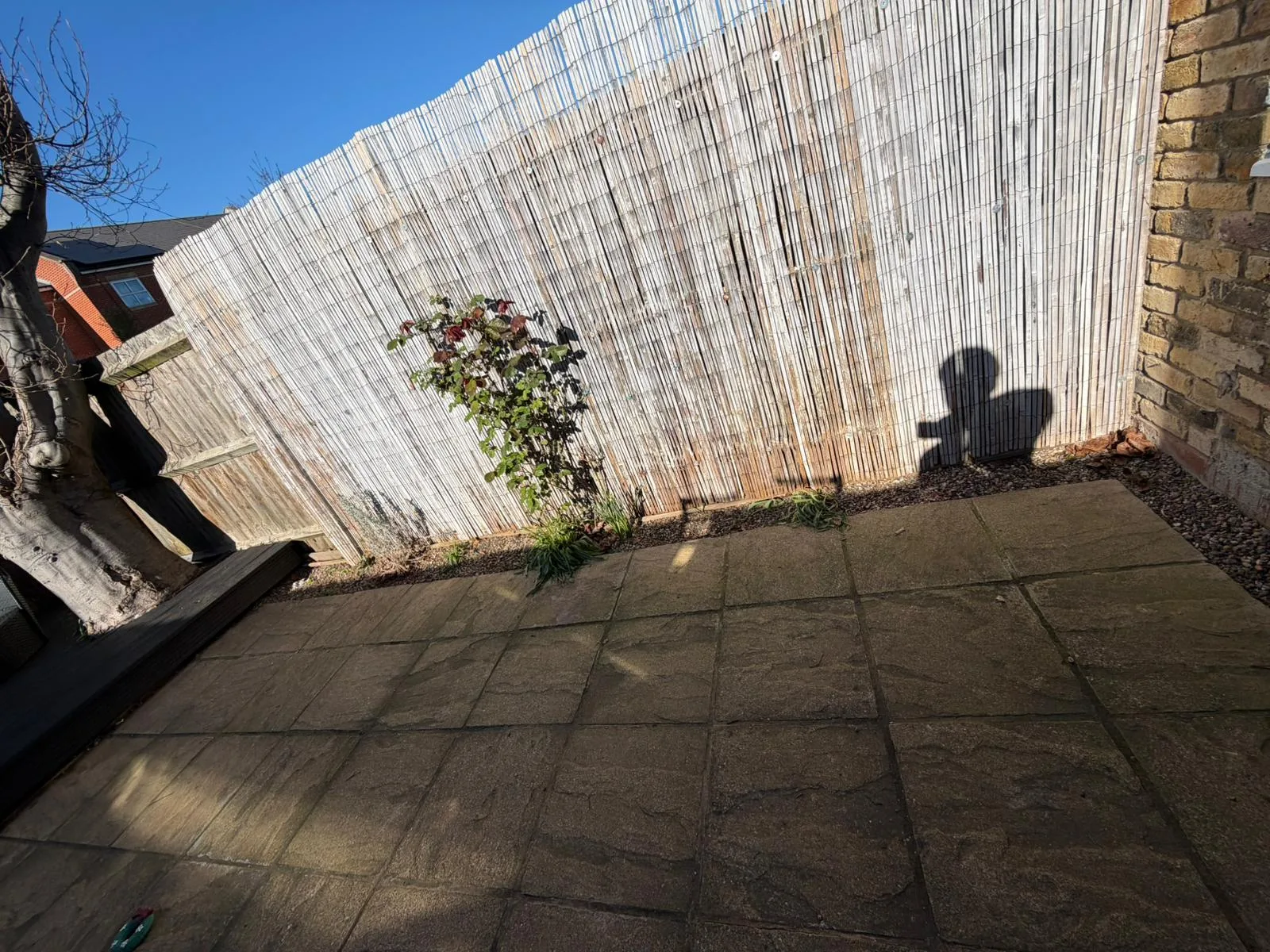 Battersea garden before transformation showing old slabs and bamboo screen