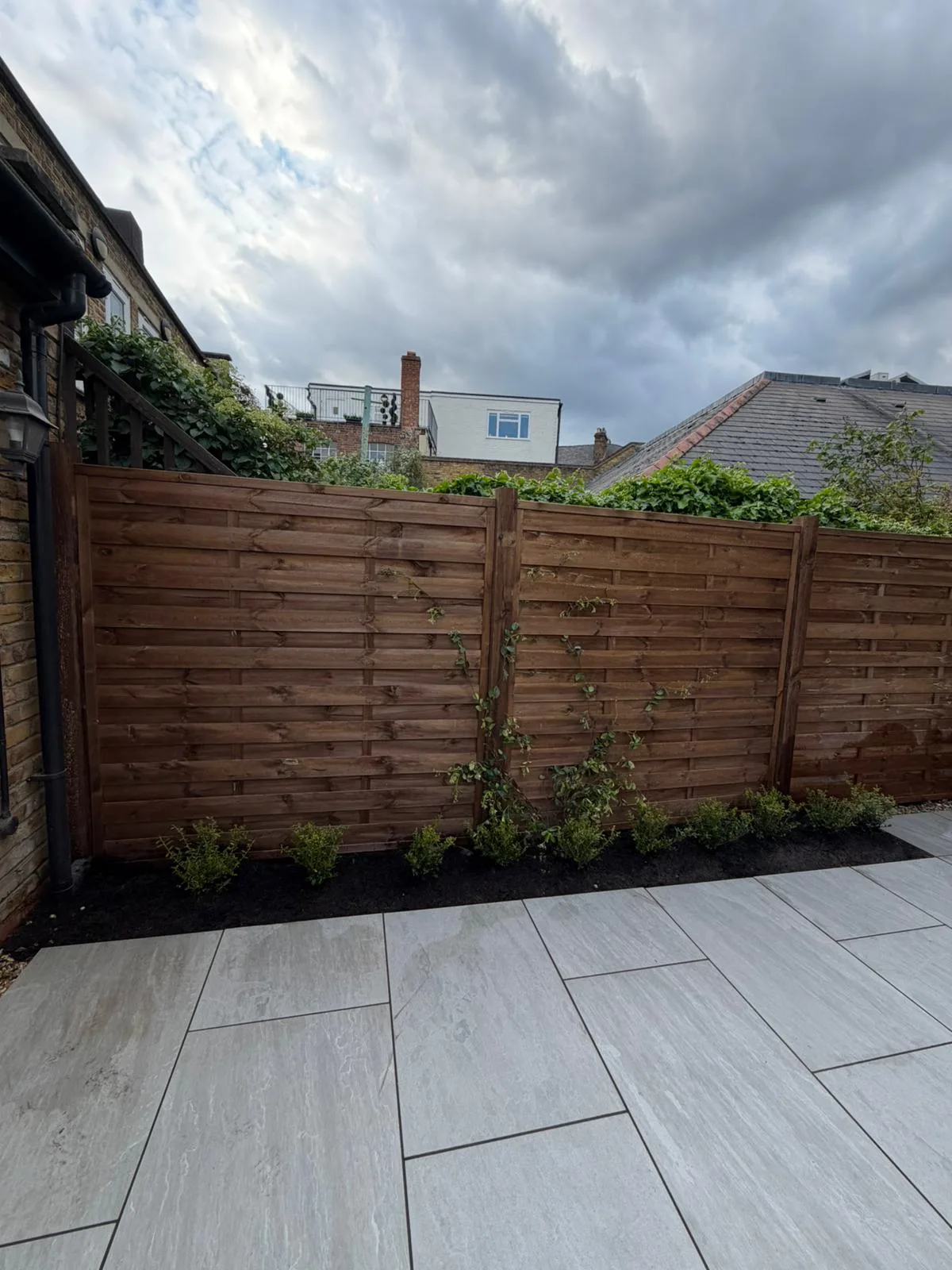 Completed horizontal fencing with ilex crenata hedge border Battersea SW11