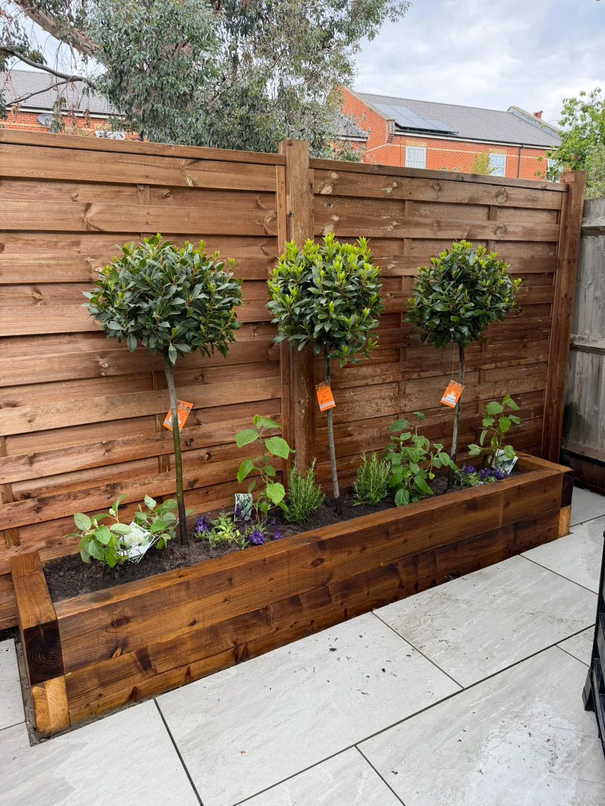 Raised timber sleeper bed with bay trees and planting scheme Battersea