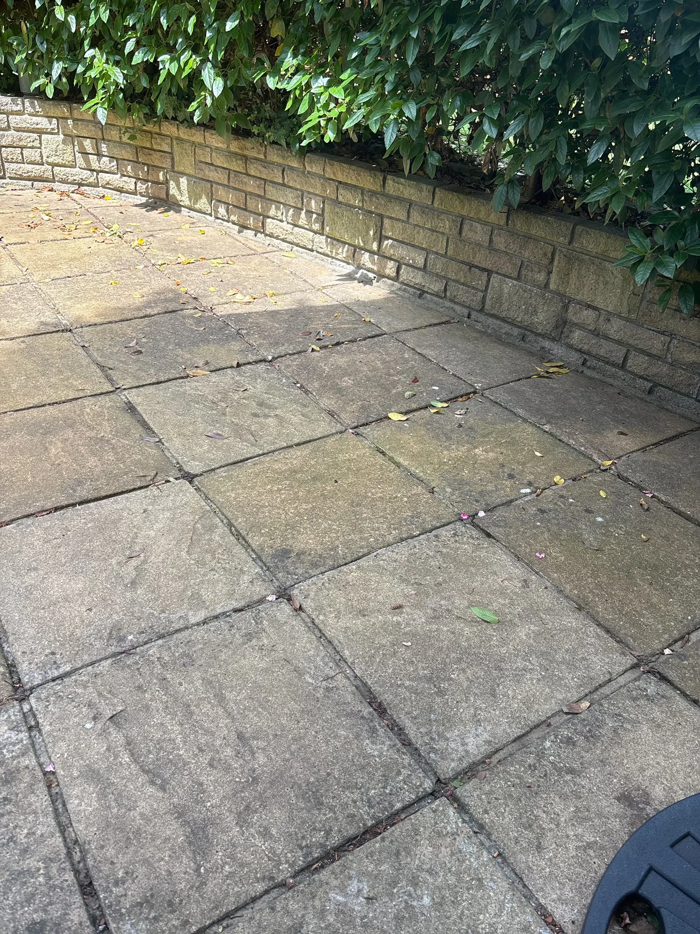 Leaf-covered curved patio path along a hedge before Karcher K4 pressure washing in Woodford, IG8 9JN