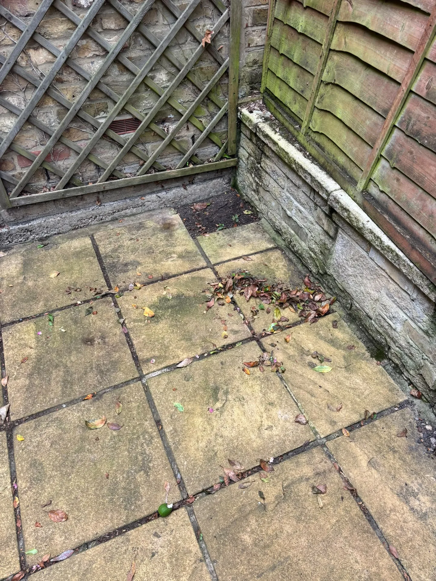 Mossy fence and patio corner with dead leaves before pressure washing in Woodford IG8 9JN