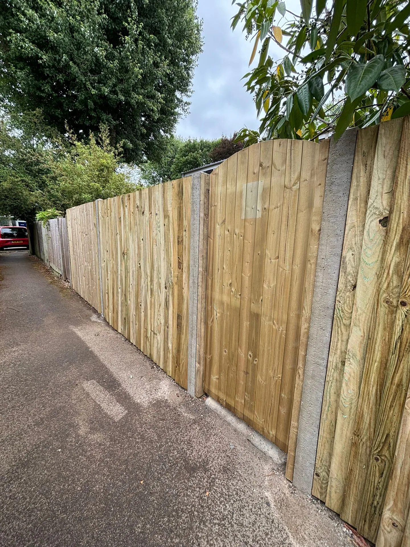 Full run of new fencing