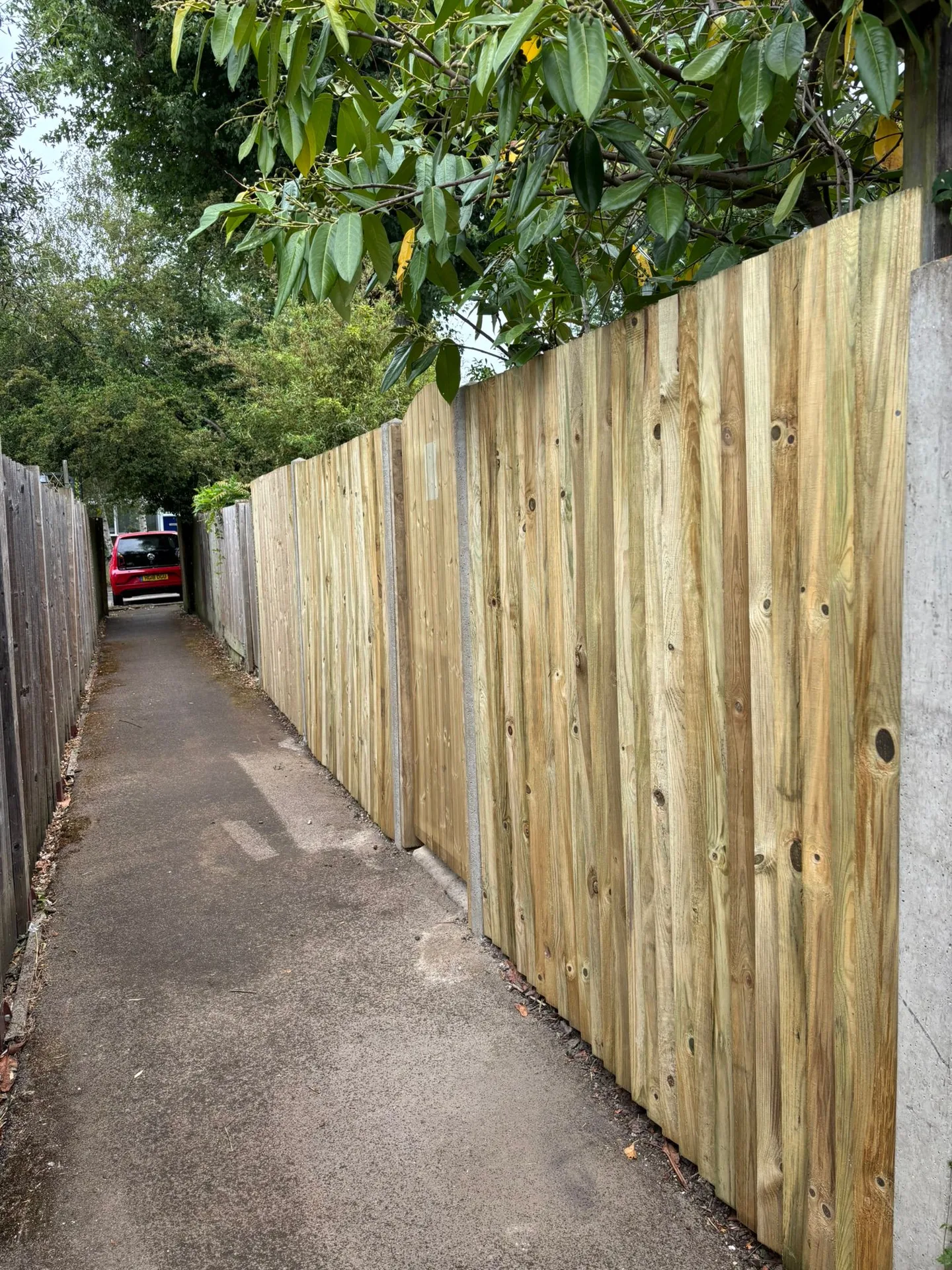 New pressure-treated closeboard fence panels fitted into existing concrete posts after fence repair in Blackheath SE3