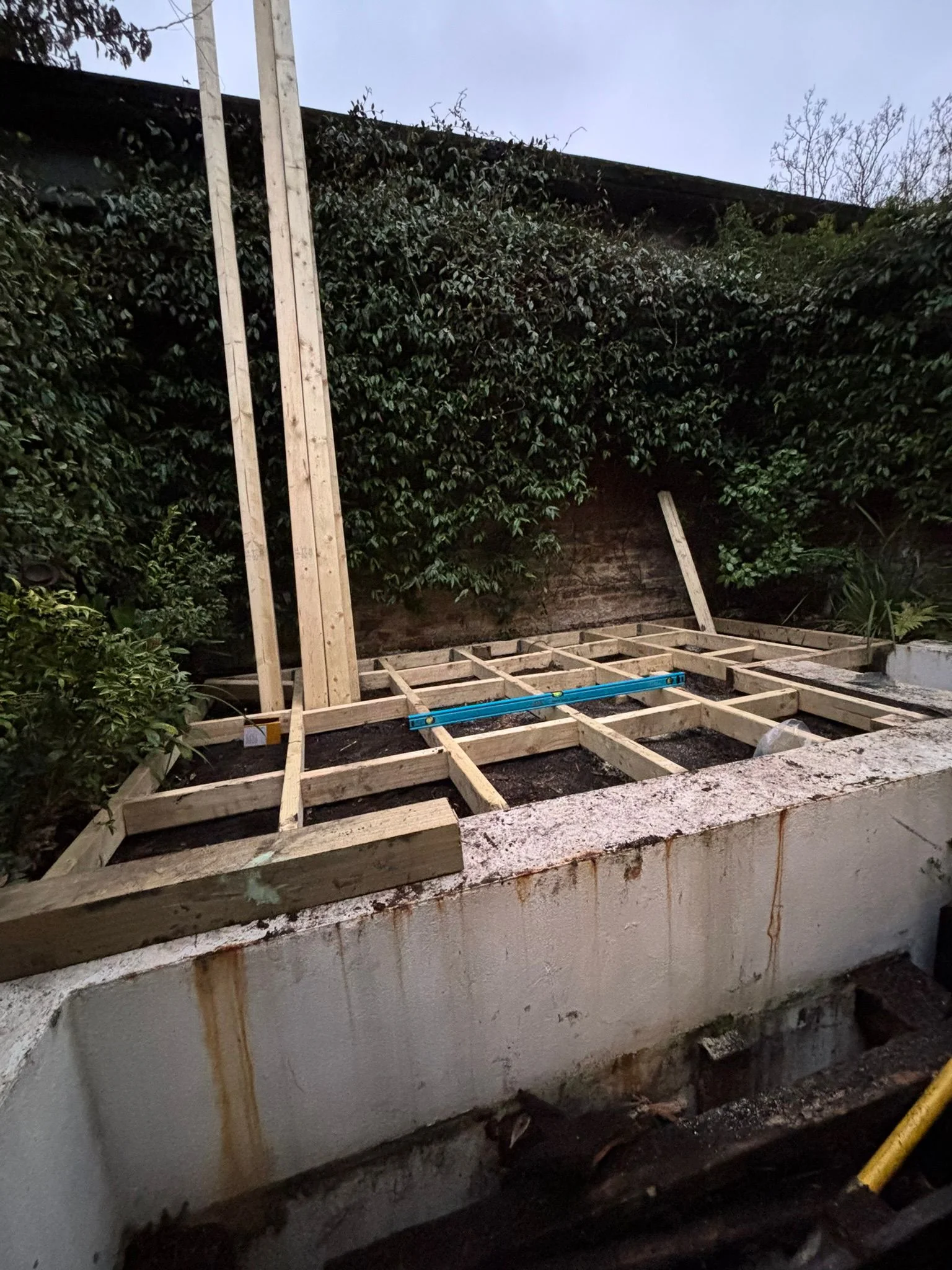 Cedar Fencing & Borders before work