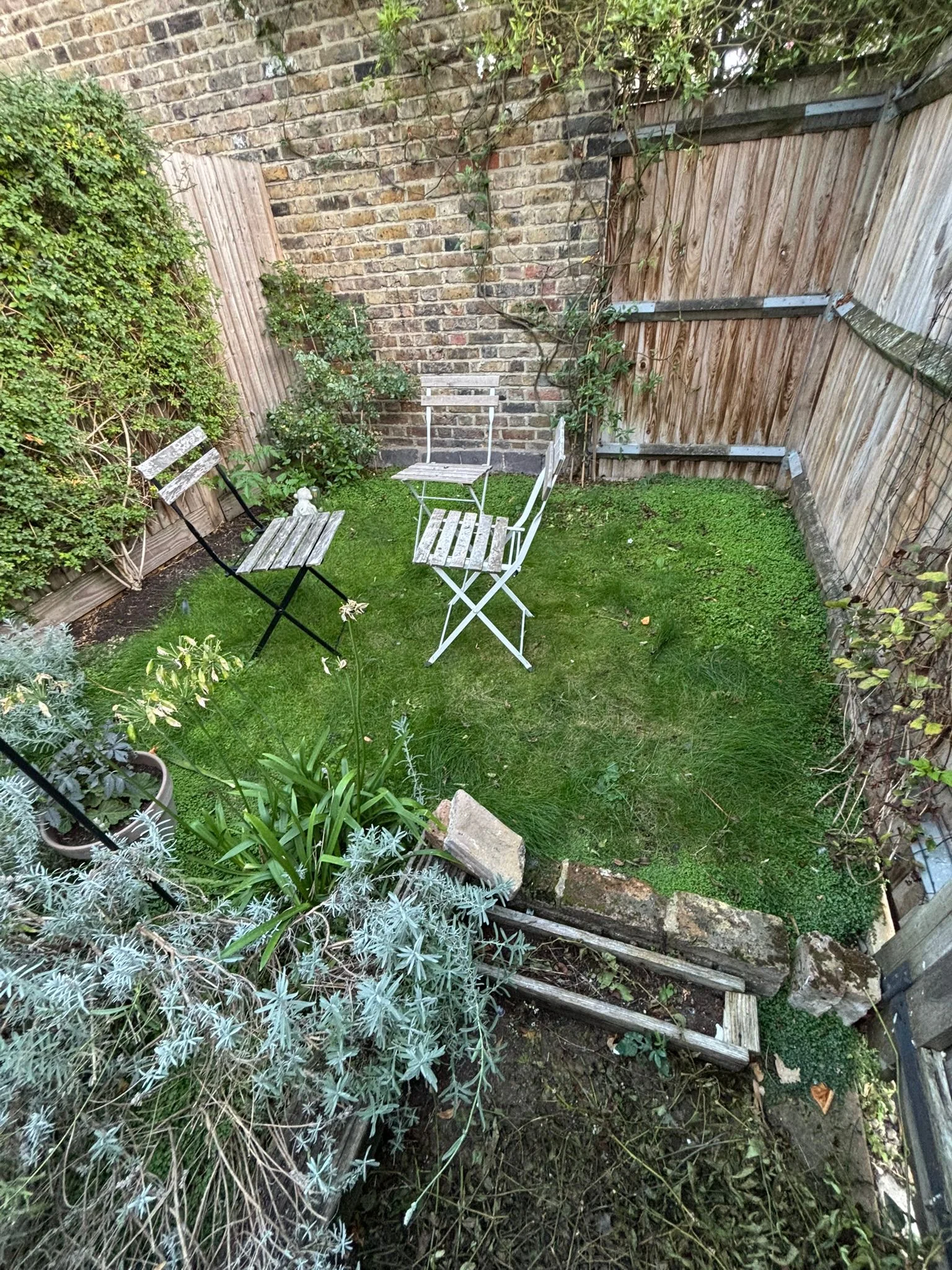 Garden Makeover before work