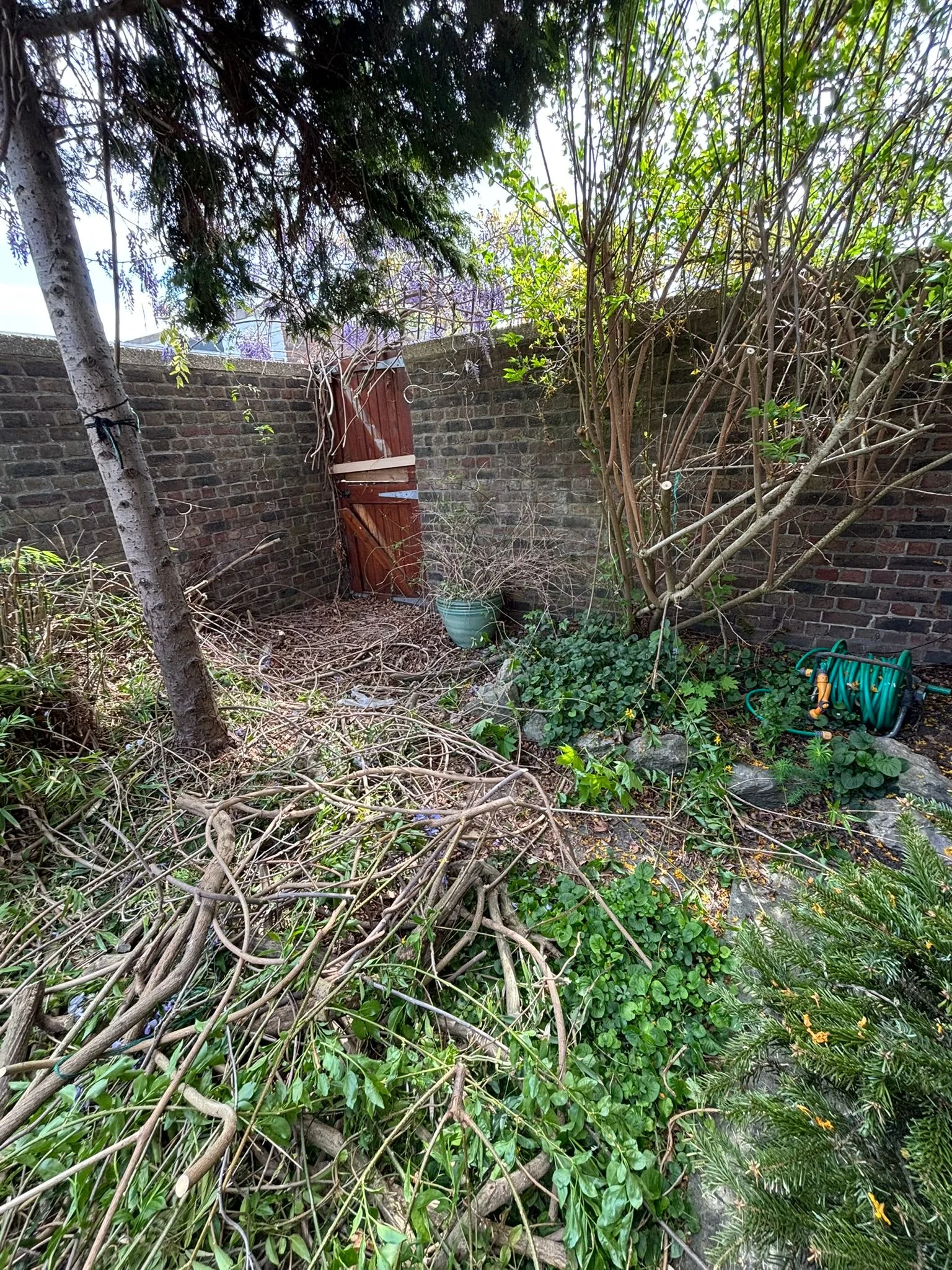 Patio & Fencing Transformation before work