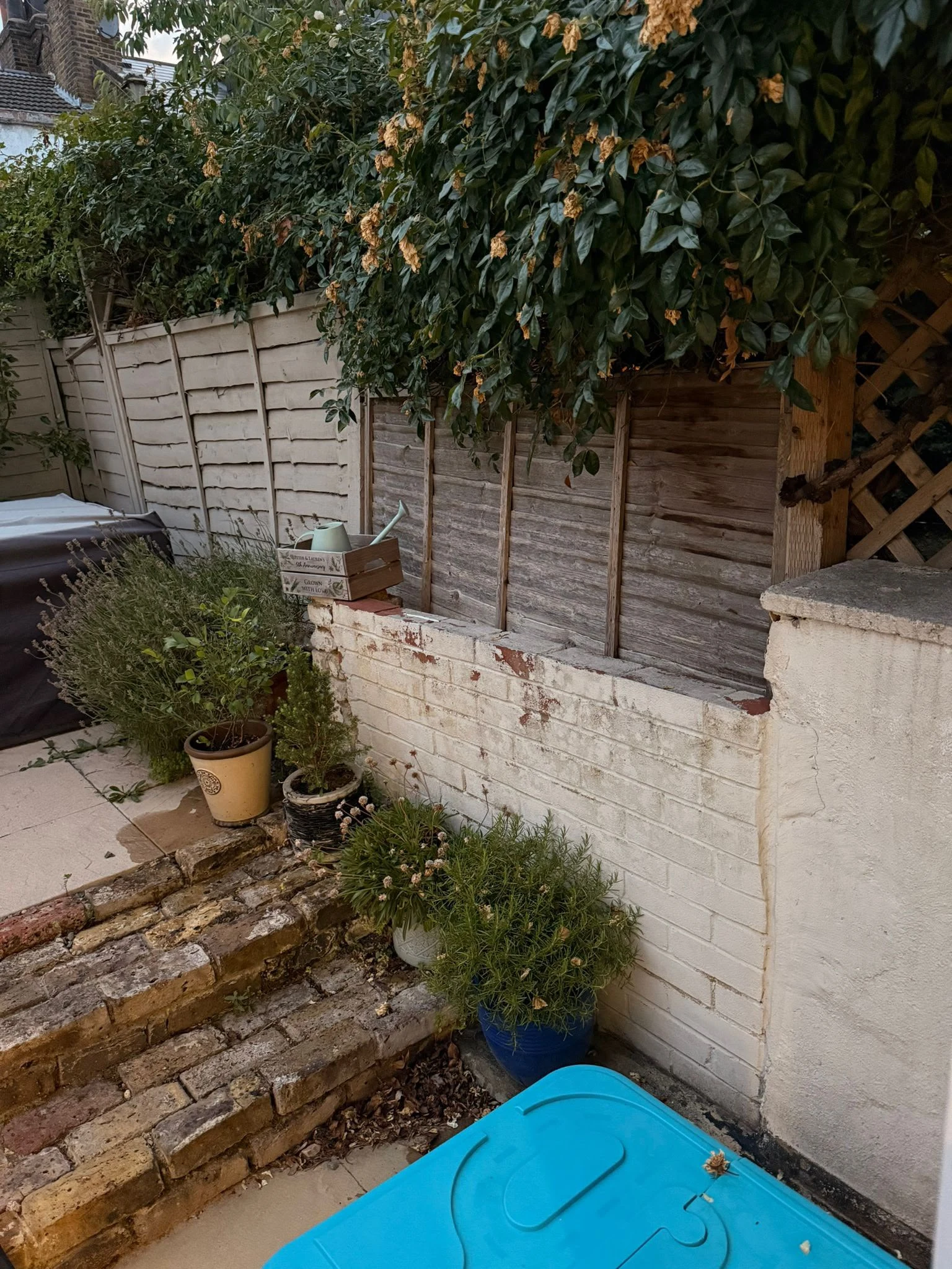 Original Greenwich garden boundary before renovation, showing the old worn brick wall, weathered timber fence panels and original brick garden steps