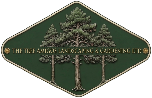 vincent-web-5fu.pages.dev favicon