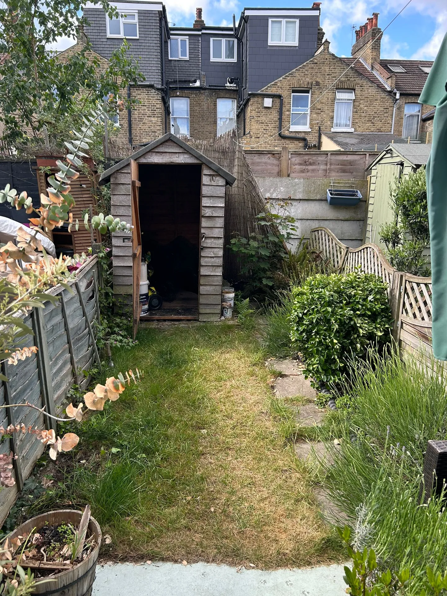 Overgrown garden before landscaping - Project 17