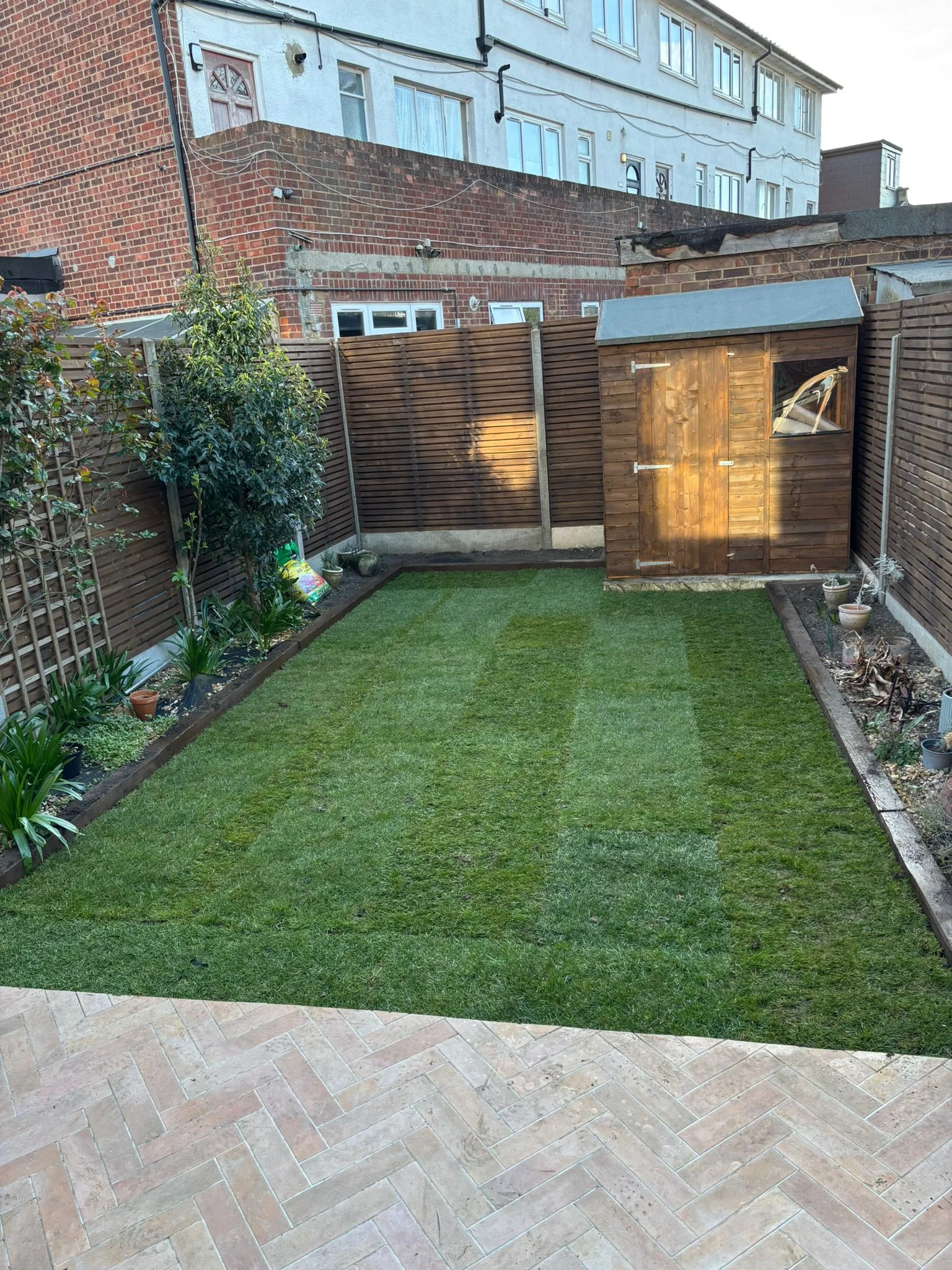 Freshly laid premium turf with herringbone stone paving and cedar slatted fencing in a South London garden — The Tree Amigos